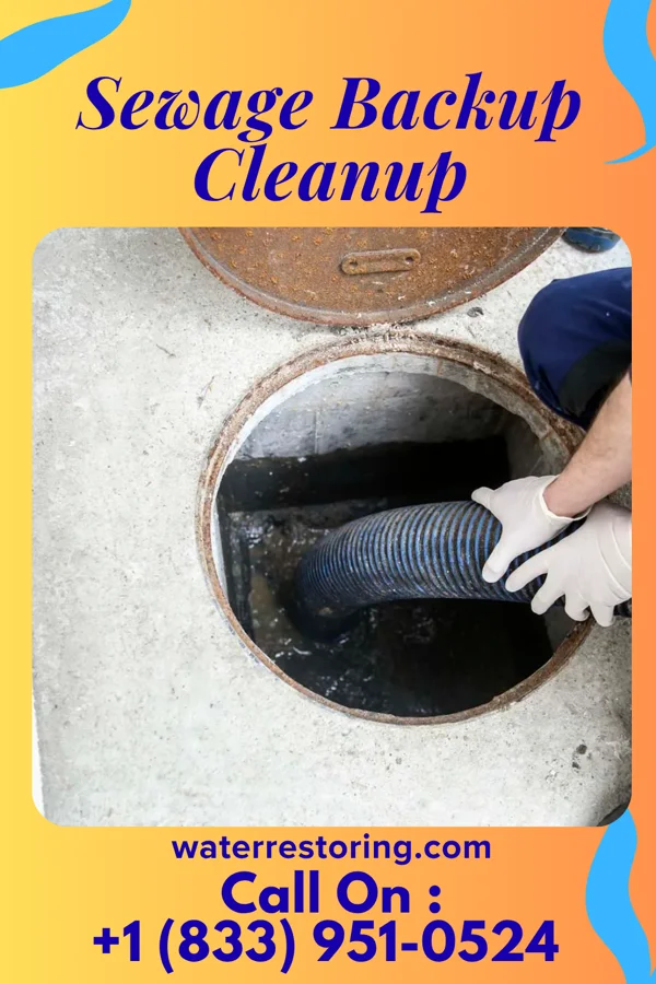 Sewage Backup Cleanup in Treynor, IA